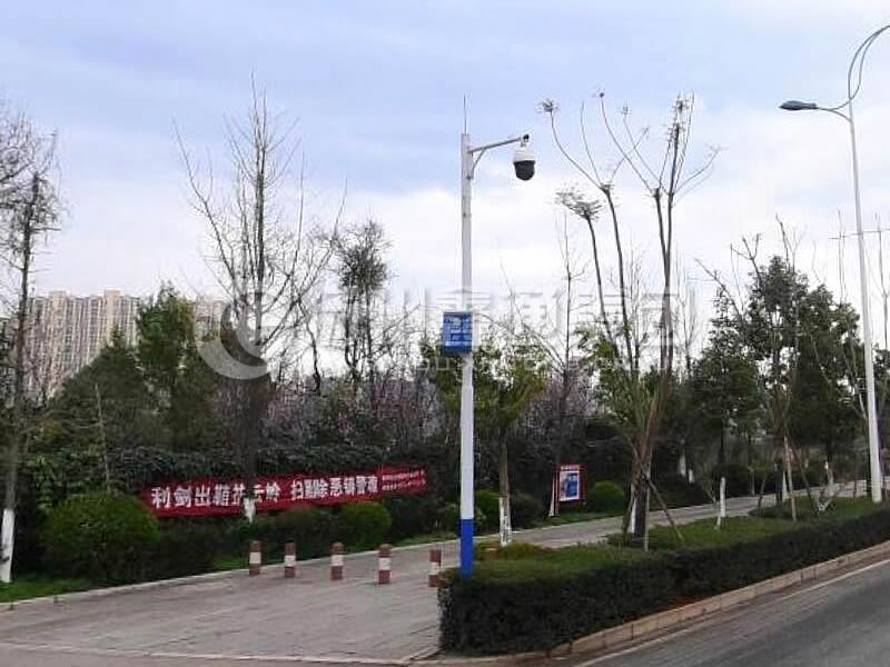 DJG-025，電子警察桿，治安監(jiān)控桿